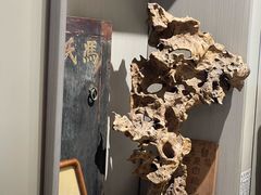 -邊城書店