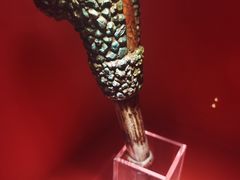 -迪庆藏族自治州博物馆