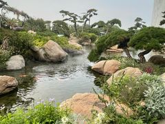 -罗红摄影艺术馆