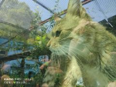 -青藏高原野生动物园