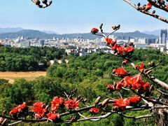 -聚龙山公园