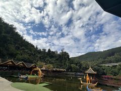 -西双版纳原始森林公园
