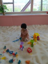 -宝燕乐园(闵行旗舰店)