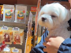 -MARSMART PETS火星宠物超市(1733店)