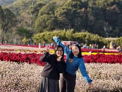 -广州市石门国家森林公园