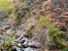 -龙道沟景区