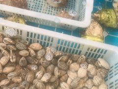 -锅老头铁锅炖•大锅蒸汽海鲜(韩乐坊店)