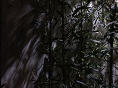 -拾壹cafe·工作室