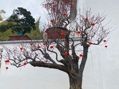 -龙华寺