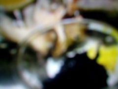 -老兵食堂(景新街店)