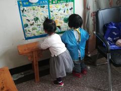 -黄海国家森林公园