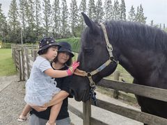 -前小桔亲子创意农场·草莓采摘·露营烧烤