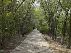 -西青郊野公园