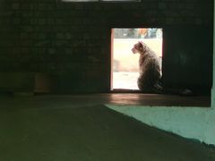 -青藏高原野生动物园