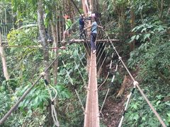 -清迈丛林飞跃 JungleFlight