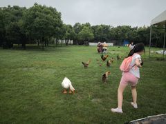 -上海海湾国家森林公园