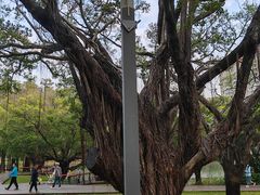 -四海公园(南山区)