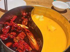 -青瓷火锅料理(西单大悦城店)