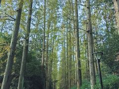 -上海怡沁园度假酒店