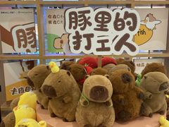 -凯德MALL(西直门店)