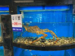 -莆鑫海鲜城(浏河店)