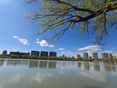 -北京园博大酒店