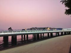 -演武大桥观景平台