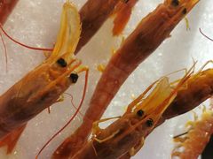 -怡乡王品海鲜姿造自助体验餐厅(大岛商业广场店)