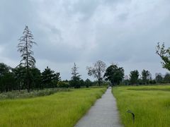 -汉长安城未央宫国家考古遗址公园