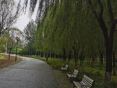 -永定河休闲森林公园