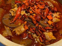 肥肠毛血旺-红辣椒·川菜·火锅(张杨路店)