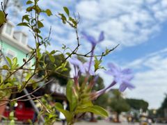 -The Flowers Coffee(南山店)