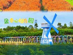 -盈香心动乐园