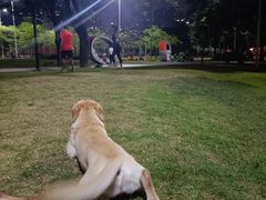 -超极限攀岩馆(六元素店)