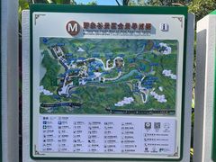 -野象谷景区