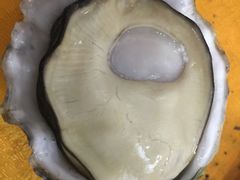 -蚝专家(北滘店)