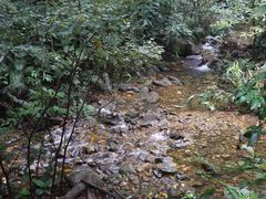 -鼎湖山风景区