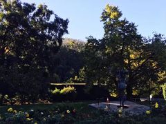 -墨尔本皇家植物园