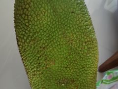 -三亚新鸿港水果一级批发市场