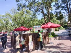 -上海野生动物园老虎餐厅