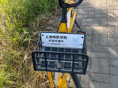 -南汇嘴观海公园