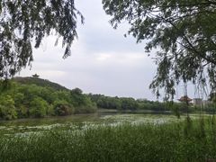 -禹州森林植物园