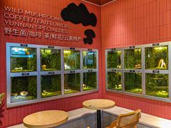 -芸山季·云南野生菌火锅(宝能环球汇店)