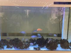 -东方童话儿童摄影(万州店)