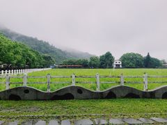 -瑞穗牧场