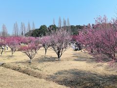 -南湖湿地公园