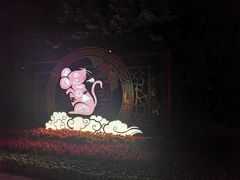 -金鸡山公园
