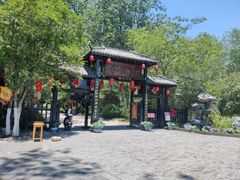 -合肥滨湖国家森林公园