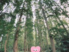 -上海怡沁园度假酒店