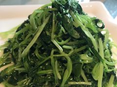 素炒鸡毛菜-19号私房菜(云南路店)
